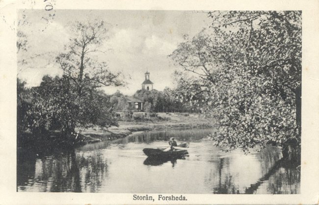 Storn, Forsheda