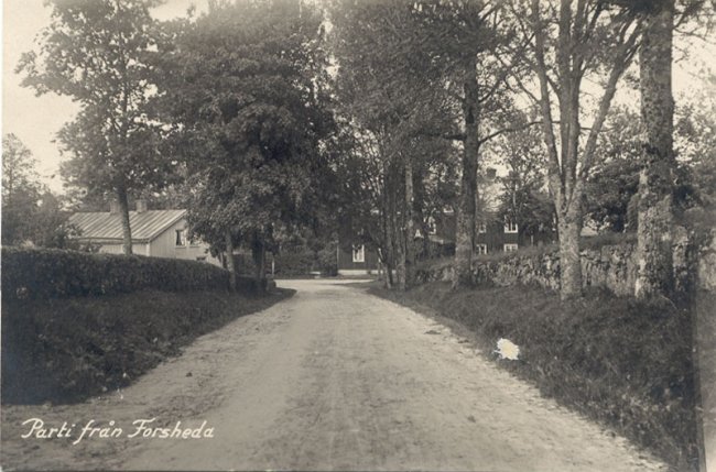 Parti frn Forsheda (Kyrkbacken)