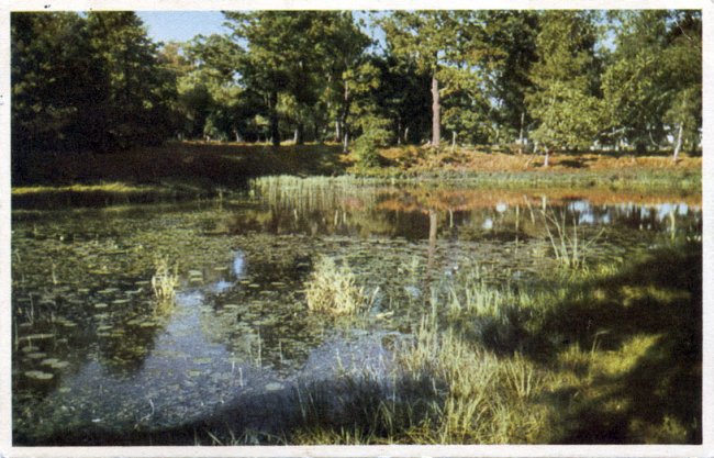 Apladalen (ca 1953)