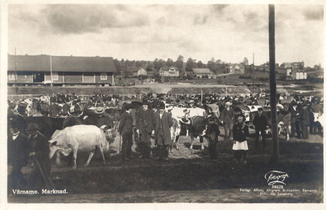 Vrnamo. Marknad
