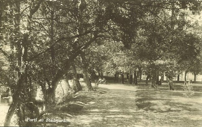 Stadsparken (broparken)