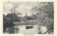 Storn, Forsheda