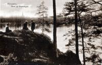 Parti af Prostskogen