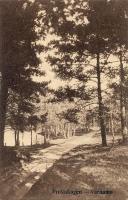 Prostskogen