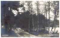 Prostskogen