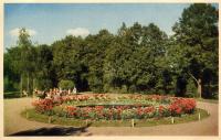 Motiv frn broparken