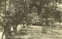 Stadsparken (broparken)