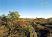 Store Mosse Nationalpark